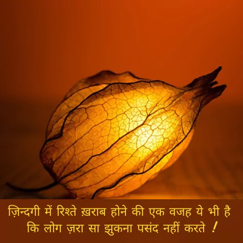 Beautiful Life Quotes in Hindi