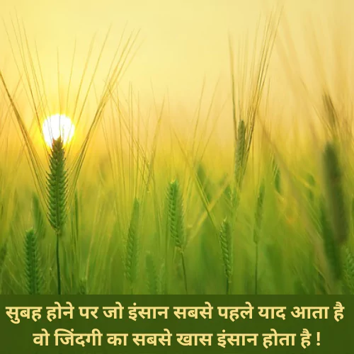 Good Morning Love Quotes in Hindi