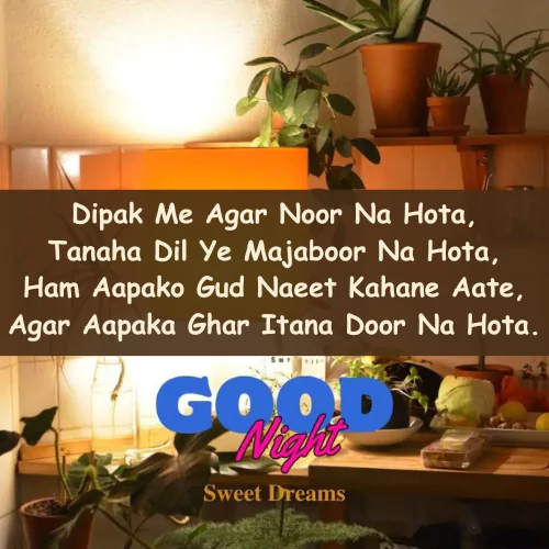 Good Night Quotes in English