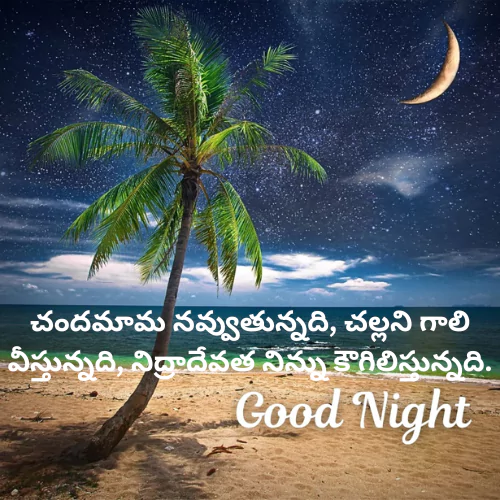 Good Night Quotes in Telugu