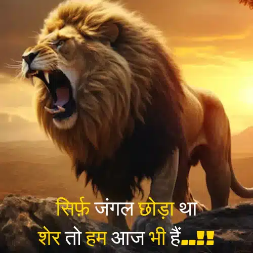 Royal Attitude Status in Hindi