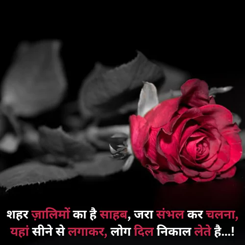 Sad Shayari Status