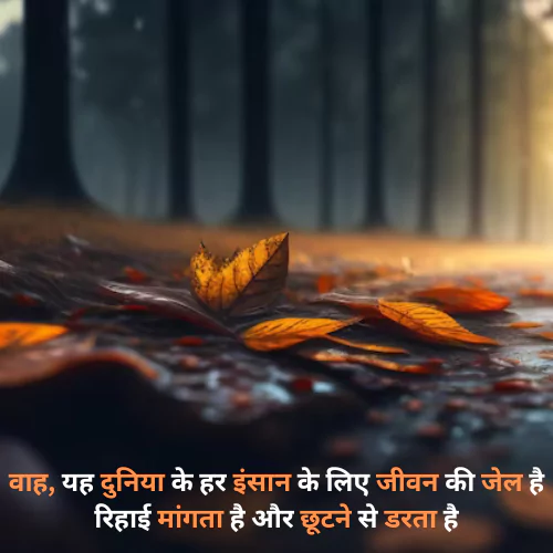 dosti status shayari