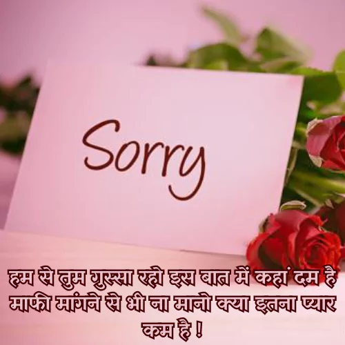 Sorry Love Shayari