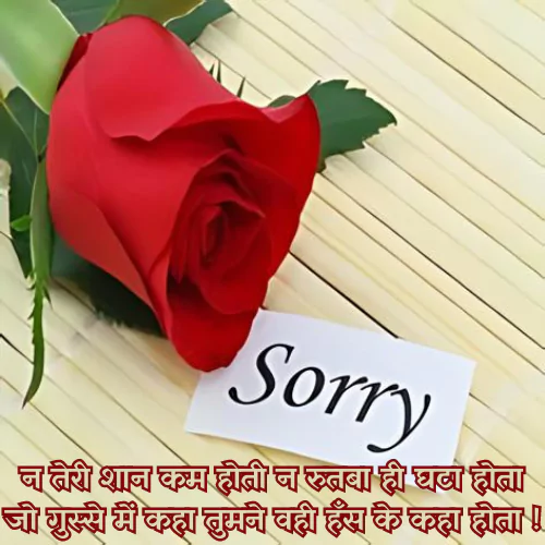 Sorry Shayari