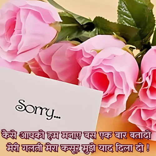 Sorry Shayari in Hindi