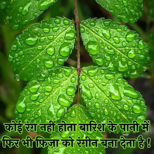 Barish Par Shayari