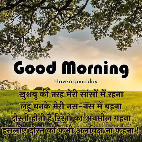 Friend Good Morning Shayari